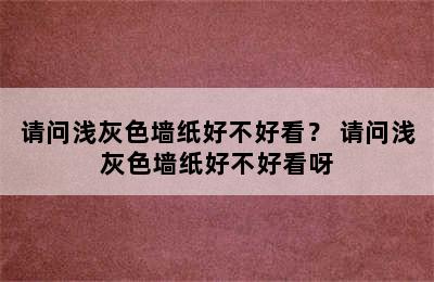 请问浅灰色墙纸好不好看？ 请问浅灰色墙纸好不好看呀